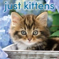 Just Kittens 2024 Wall Calendar