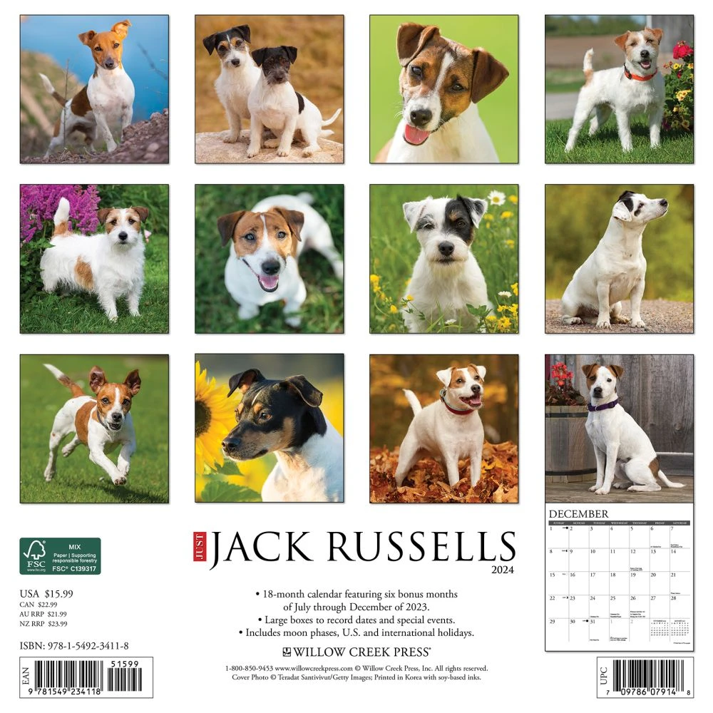 Just Jack Russells 2024 Wall Calendar 4 Just Jack Russells 2024 Wall Calendar - Image 2