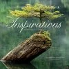 Inspirations 2024 Wall Calendar -Calendars Sales Store 202400003802