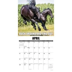 Horsing Around 2024 Wall Calendar -Calendars Sales Store 202400003809 ALT2