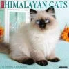 Himalayan Cats 2024 Wall Calendar -Calendars Sales Store 202400003816