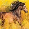 Happiness Is A Horse 2024 Wall Calendar -Calendars Sales Store 202400003822