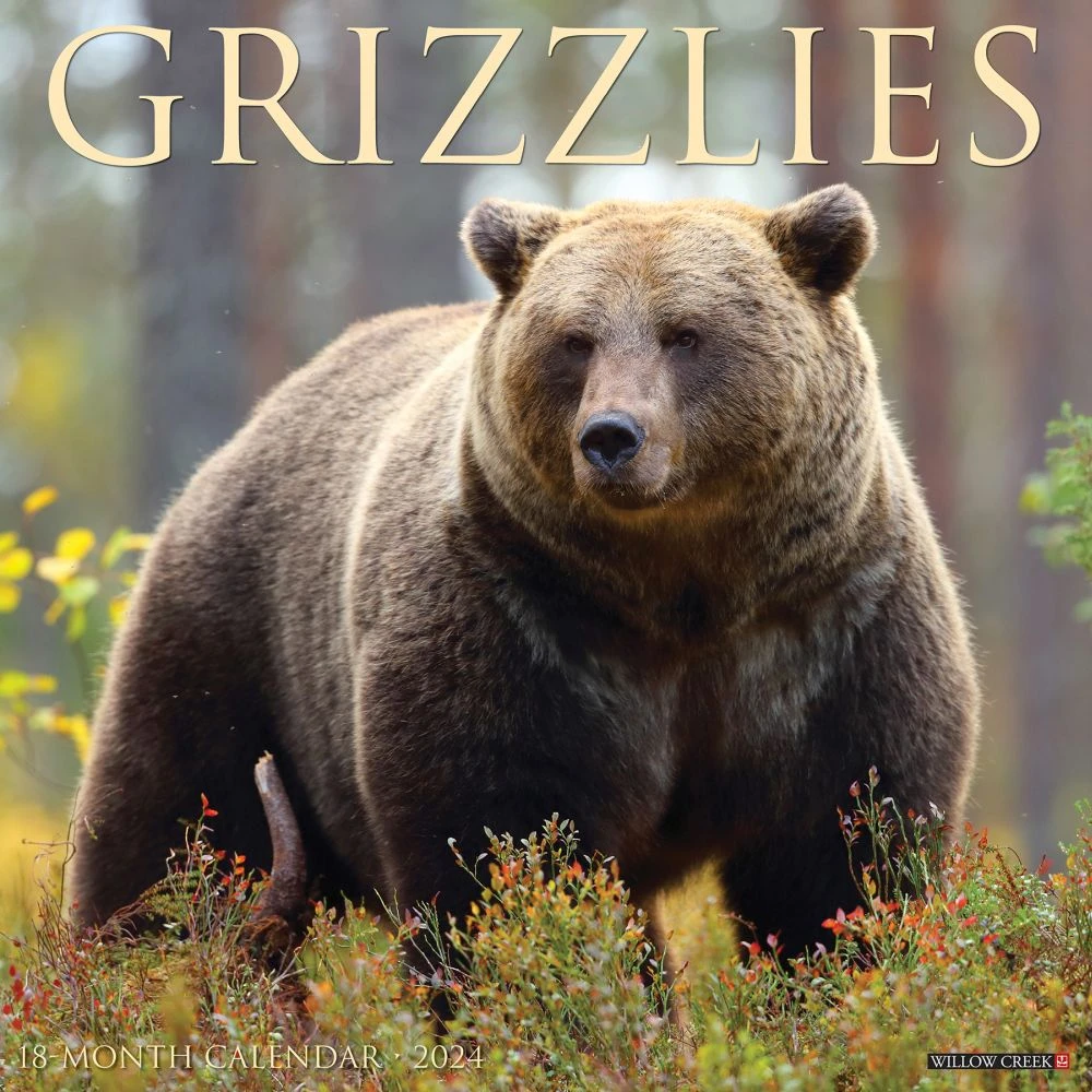 Grizzlies 2024 Wall Calendar 3 Grizzlies 2024 Wall Calendar
