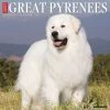 Just Great Pyrenees 2024 Wall Calendar -Calendars Sales Store 202400003827