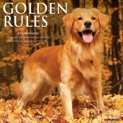 Just Golden Rules 2024 Wall Calendar