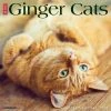 Just Ginger Cats 2024 Wall Calendar 1 Just Ginger Cats 2024 Wall Calendar -Calendars Sales Store 202400003842