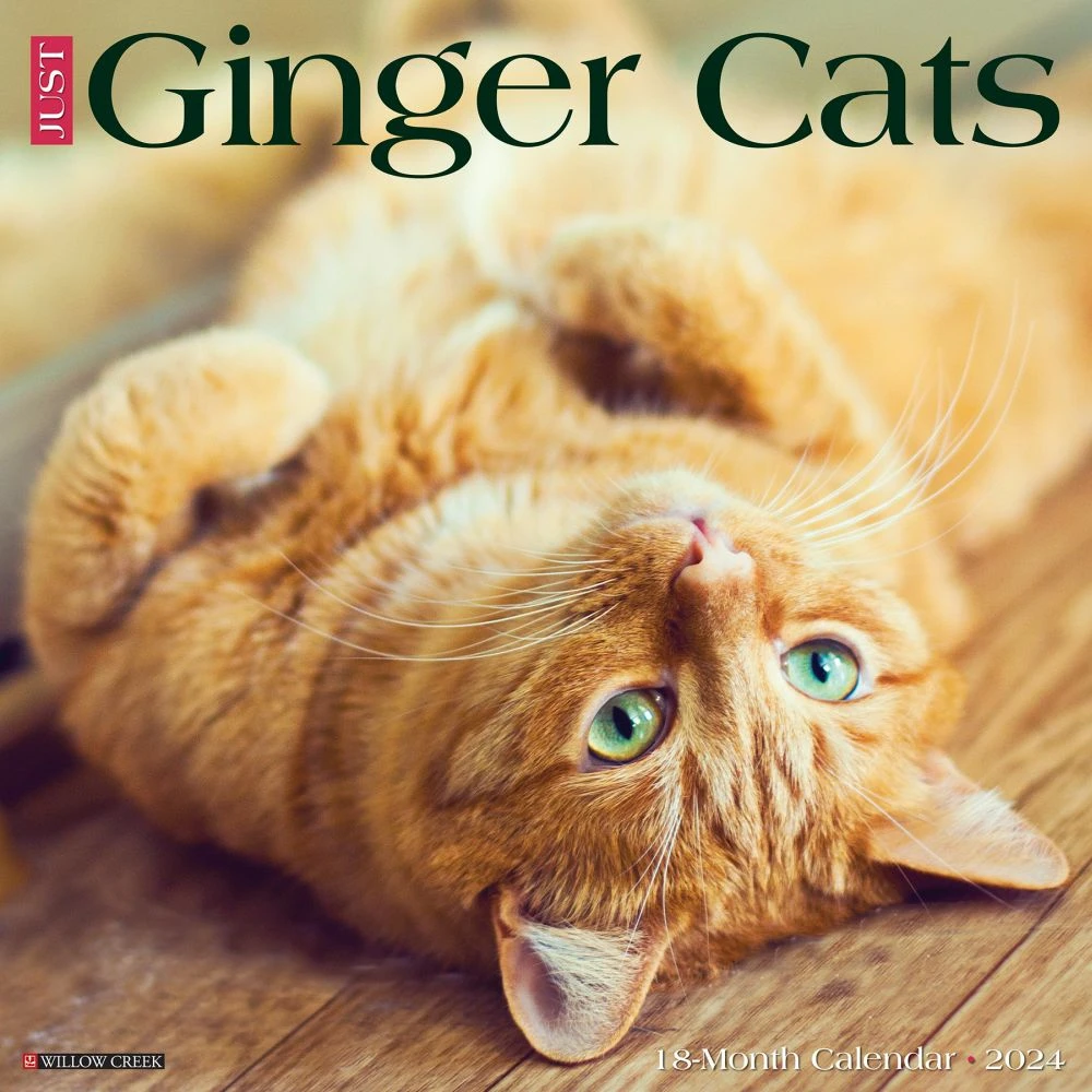 Just Ginger Cats 2024 Wall Calendar 3 Just Ginger Cats 2024 Wall Calendar