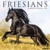Friesians Horses 2024 Wall Calendar -Calendars Sales Store 202400003851