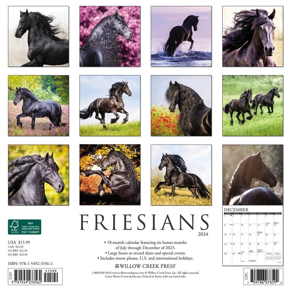Friesians Horses 2024 Wall Calendar 4 Friesians Horses 2024 Wall Calendar - Image 2