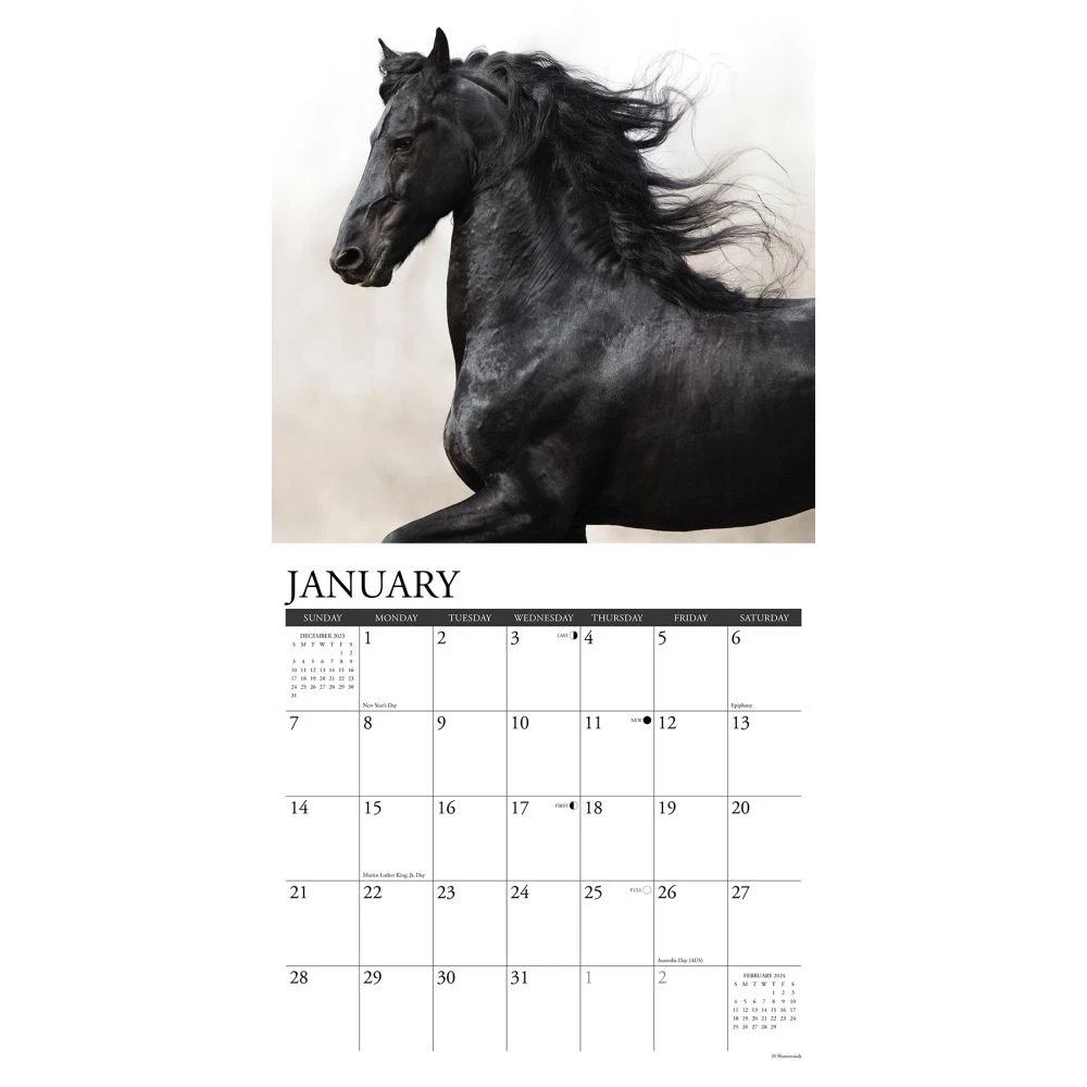Friesians Horses 2024 Wall Calendar 5 Friesians Horses 2024 Wall Calendar - Image 3