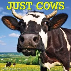 Just Cows 2024 Wall Calendar