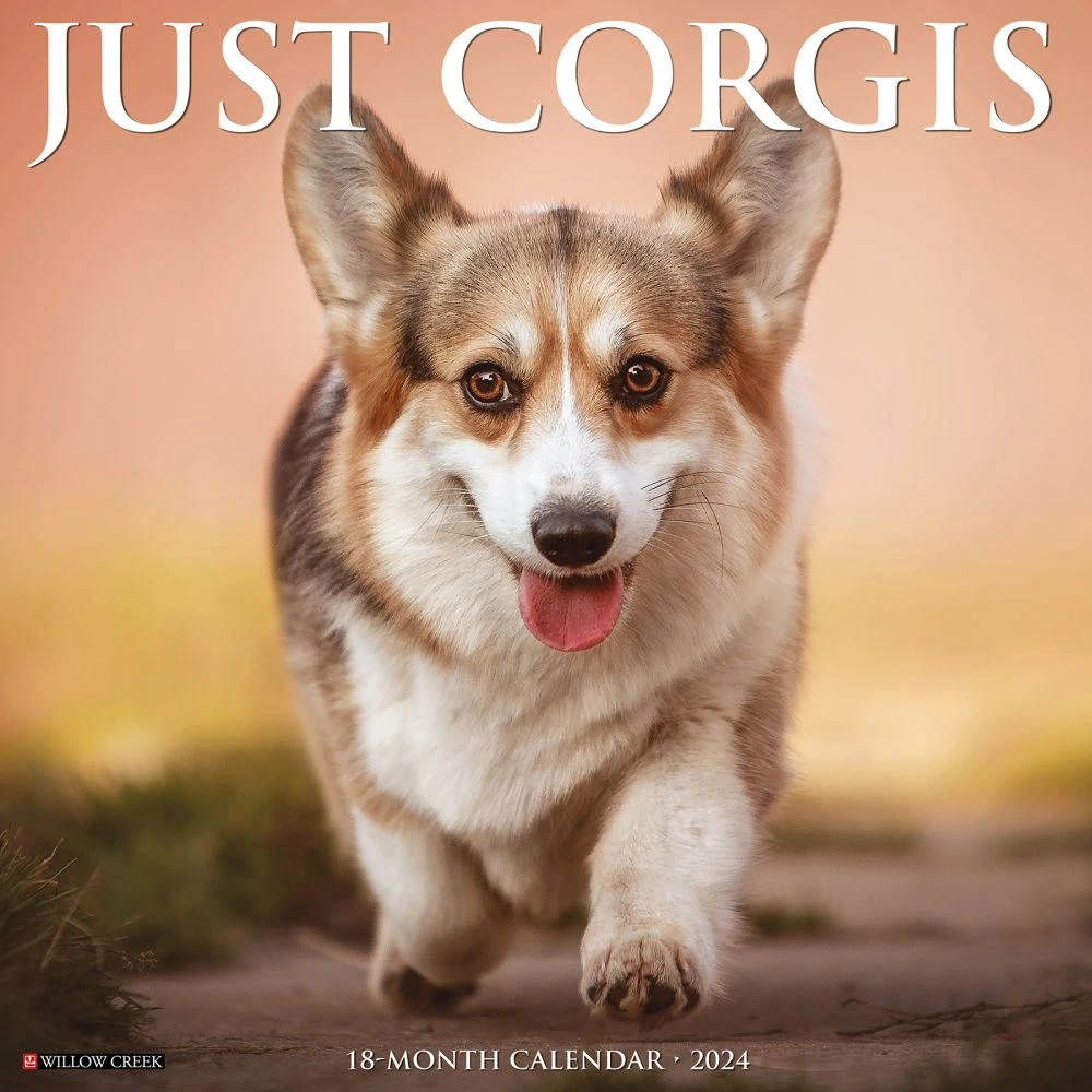 Just Corgis 2024 Wall Calendar 3 Just Corgis 2024 Wall Calendar