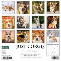 Just Corgis 2024 Wall Calendar 8 Just Corgis 2024 Wall Calendar -Calendars Sales Store 202400003885 ALT1
