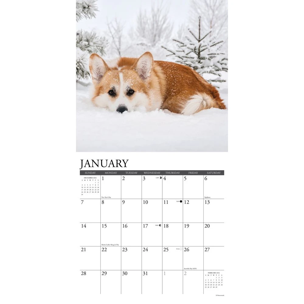 Just Corgis 2024 Wall Calendar 5 Just Corgis 2024 Wall Calendar - Image 3