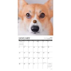 Corgi Rules 2024 Wall Calendar 9 Corgi Rules 2024 Wall Calendar -Calendars Sales Store 202400003886 ALT2