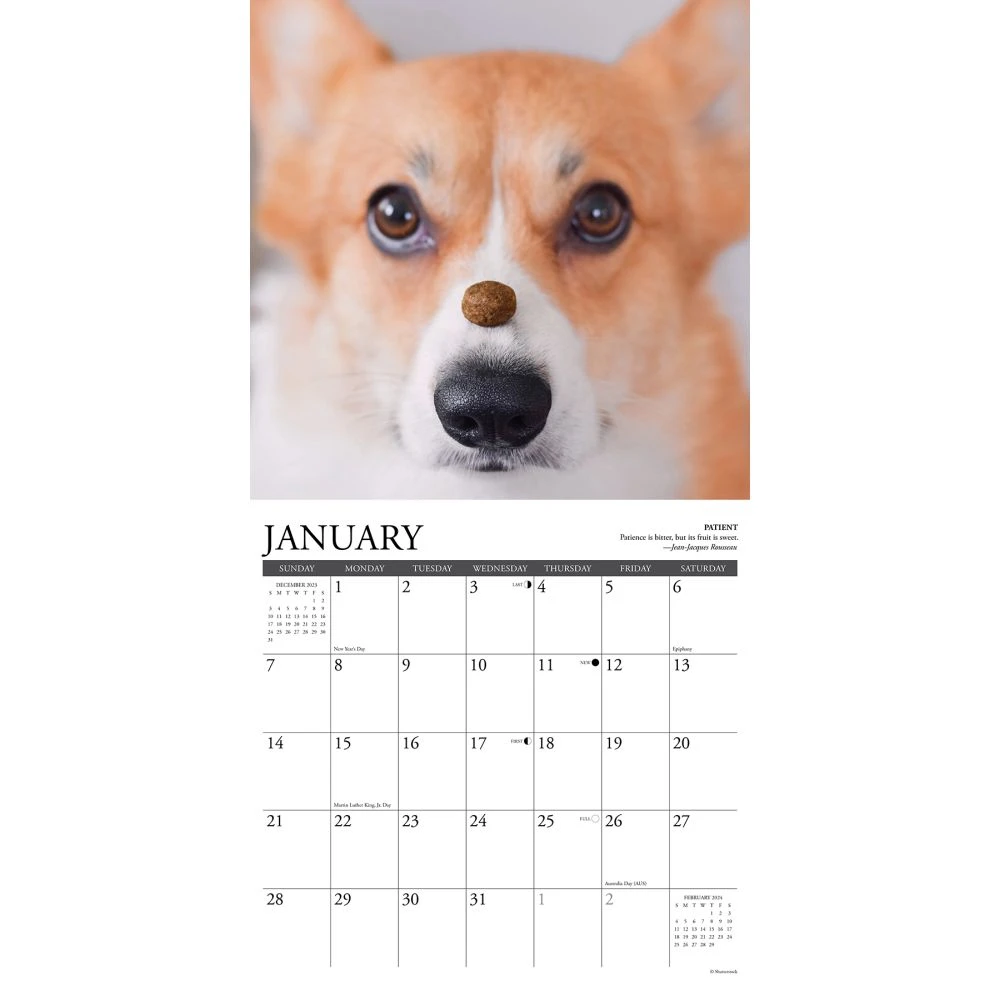 Corgi Rules 2024 Wall Calendar 5 Corgi Rules 2024 Wall Calendar - Image 3