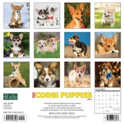 Just Corgi Puppies 2024 Wall Calendar -Calendars Sales Store 202400003887 ALT1