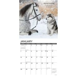 Seize The Hay 2024 Wall Calendar -Calendars Sales Store 202400003907 ALT2