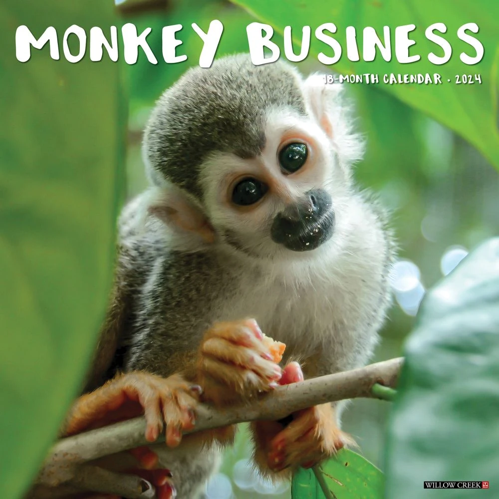Monkey Business 2024 Wall Calendar 3 Monkey Business 2024 Wall Calendar