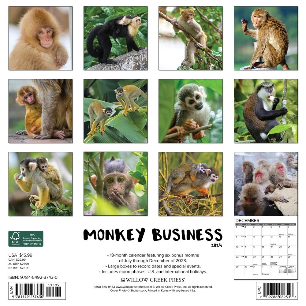 Monkey Business 2024 Wall Calendar 4 Monkey Business 2024 Wall Calendar - Image 2
