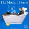 Modern Ferret 2024 Wall Calendar -Calendars Sales Store 202400003922