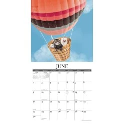 Modern Ferret 2024 Wall Calendar -Calendars Sales Store 202400003922 ALT2