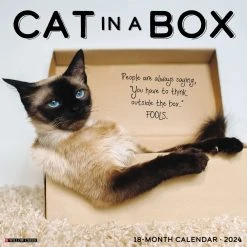 Cat In A Box 2024 Wall Calendar