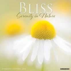 Bliss Serenity In Nature 2024 Wall Calendar