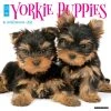 Just Yorkie Puppies 2024 Wall Calendar 2 Just Yorkie Puppies 2024 Wall Calendar -Calendars Sales Store 202400003957