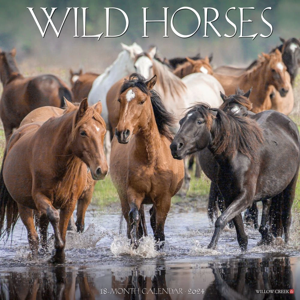 Wild Horses 2024 Wall Calendar 3 Wild Horses 2024 Wall Calendar