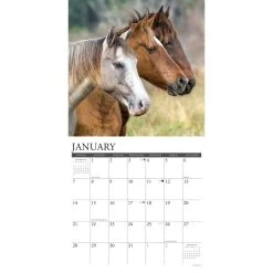 Wild Horses 2024 Wall Calendar 9 Wild Horses 2024 Wall Calendar -Calendars Sales Store 202400003964 ALT2