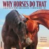 Why Horses Do That 2024 Wall Calendar 2 Why Horses Do That 2024 Wall Calendar -Calendars Sales Store 202400003966