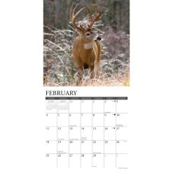 Whitetail Monarchs 2024 Wall Calendar -Calendars Sales Store 202400003968 ALT2