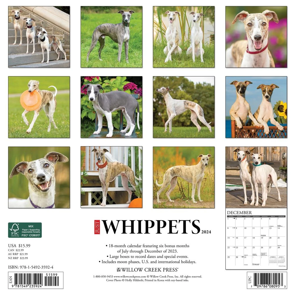 Just Whippets 2024 Wall Calendar 4 Just Whippets 2024 Wall Calendar - Image 2