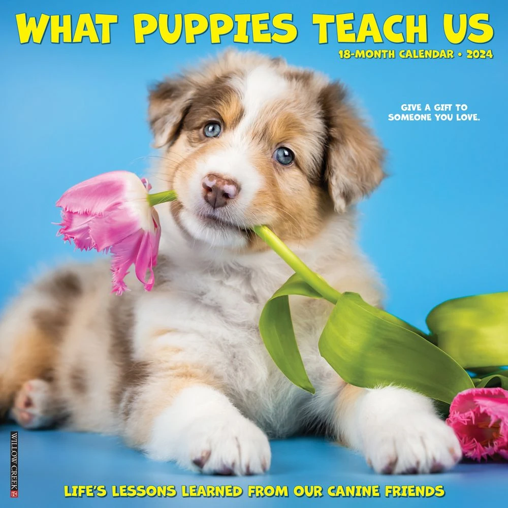 What Puppies Teach Us 2024 Wall Calendar 3 What Puppies Teach Us 2024 Wall Calendar