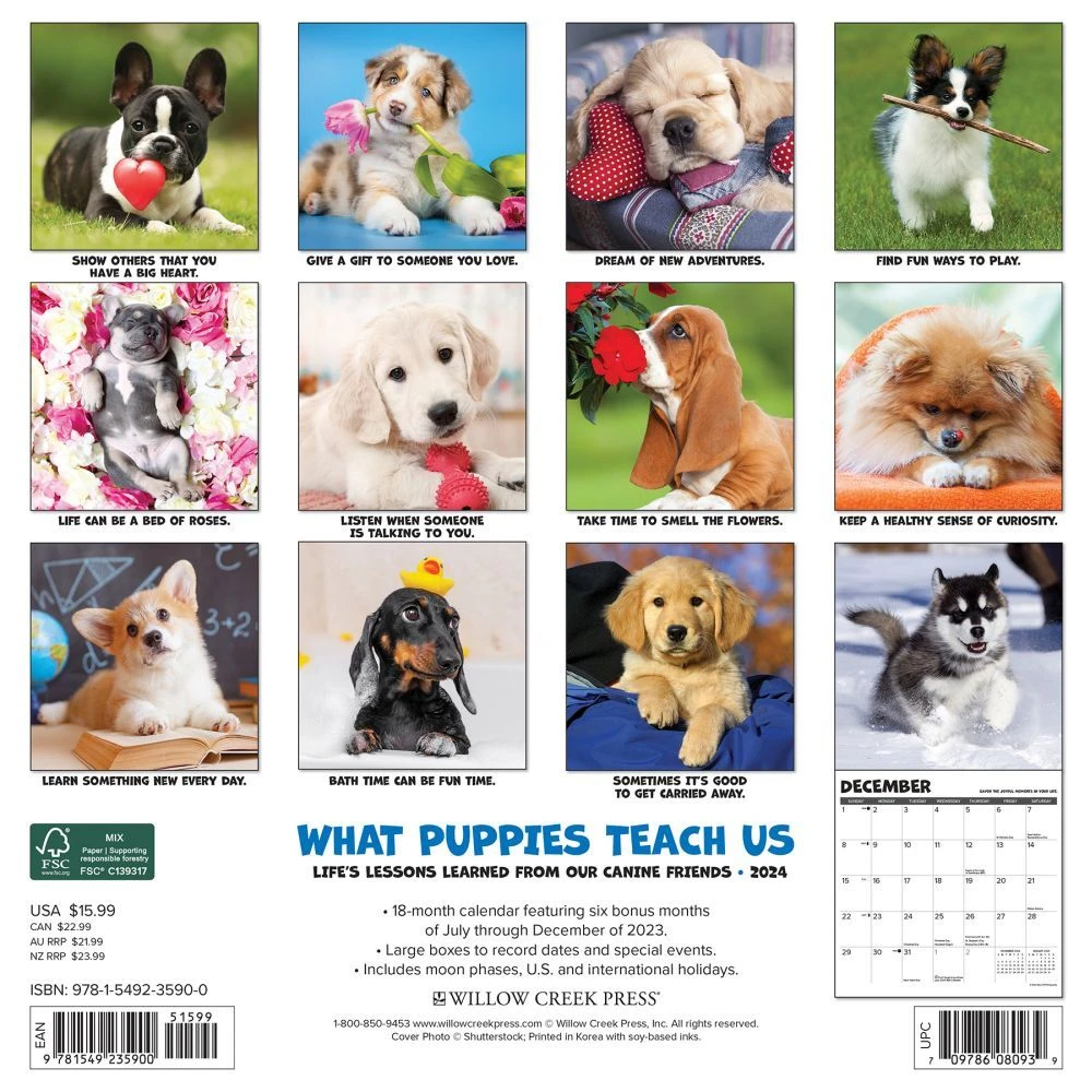 What Puppies Teach Us 2024 Wall Calendar 4 What Puppies Teach Us 2024 Wall Calendar - Image 2