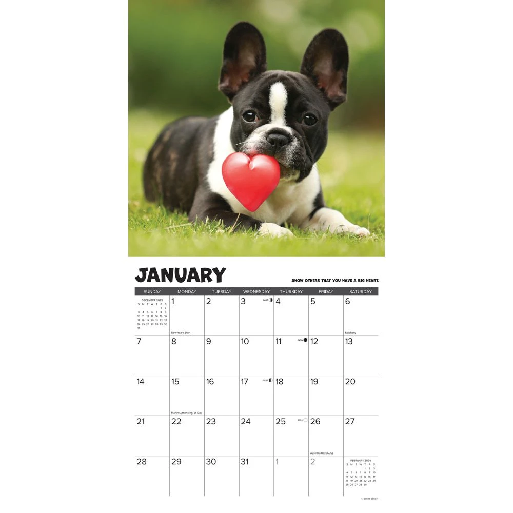 What Puppies Teach Us 2024 Wall Calendar 5 What Puppies Teach Us 2024 Wall Calendar - Image 3