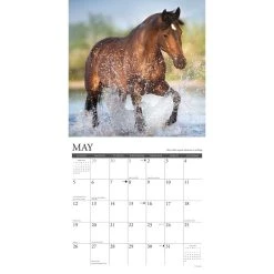 What Horses Teach Us 2024 Wall Calendar -Calendars Sales Store 202400003974 ALT2
