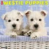 Just Westie Puppies 2024 Wall Calendar 1 Just Westie Puppies 2024 Wall Calendar -Calendars Sales Store 202400003980