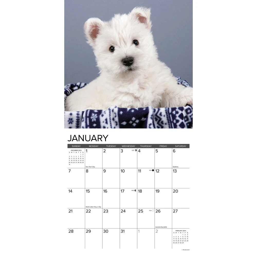 Just Westie Puppies 2024 Wall Calendar 5 Just Westie Puppies 2024 Wall Calendar - Image 3