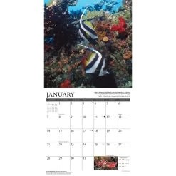 Under The Sea 2024 Wall Calendar -Calendars Sales Store 202400003991 ALT2