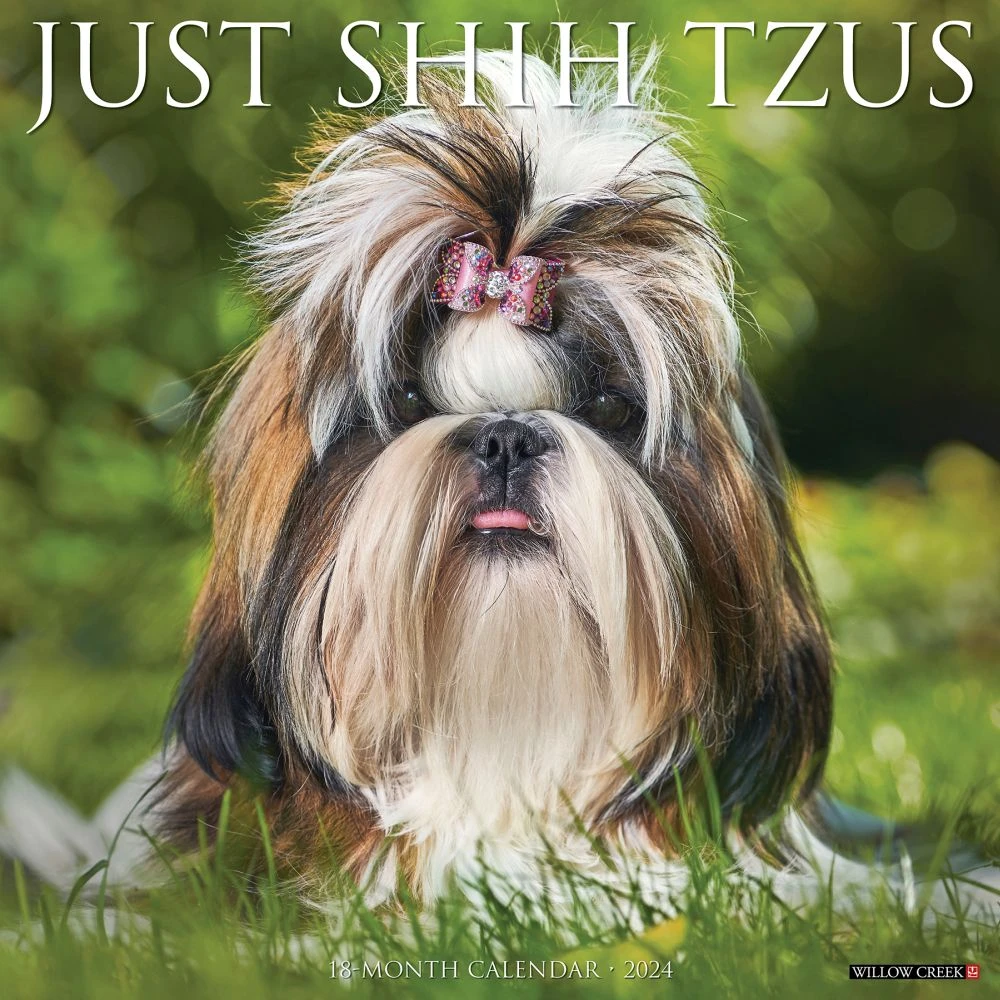 Just Shih Tzus 2024 Wall Calendar 3 Just Shih Tzus 2024 Wall Calendar
