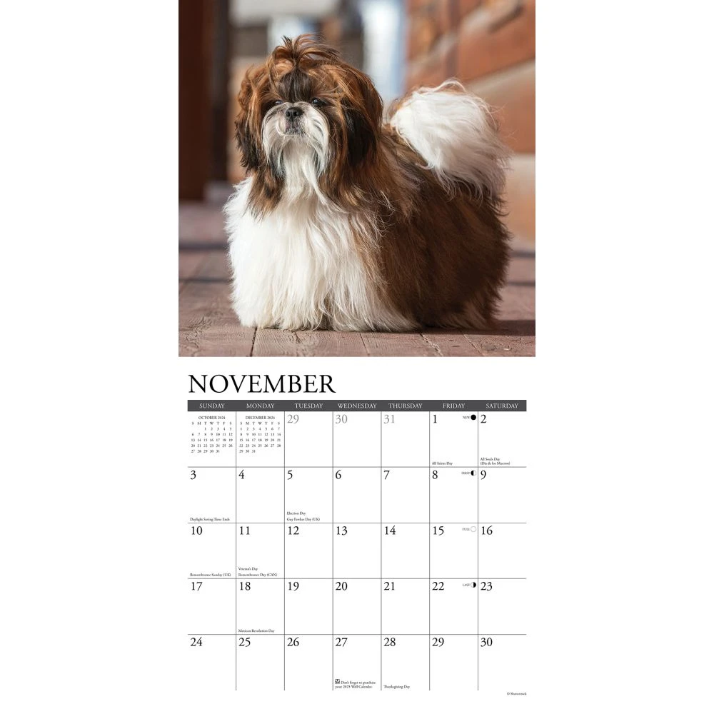 Just Shih Tzus 2024 Wall Calendar 5 Just Shih Tzus 2024 Wall Calendar - Image 3
