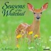 Seasons Of The Whitetail 2024 Wall Calendar -Calendars Sales Store 202400004033