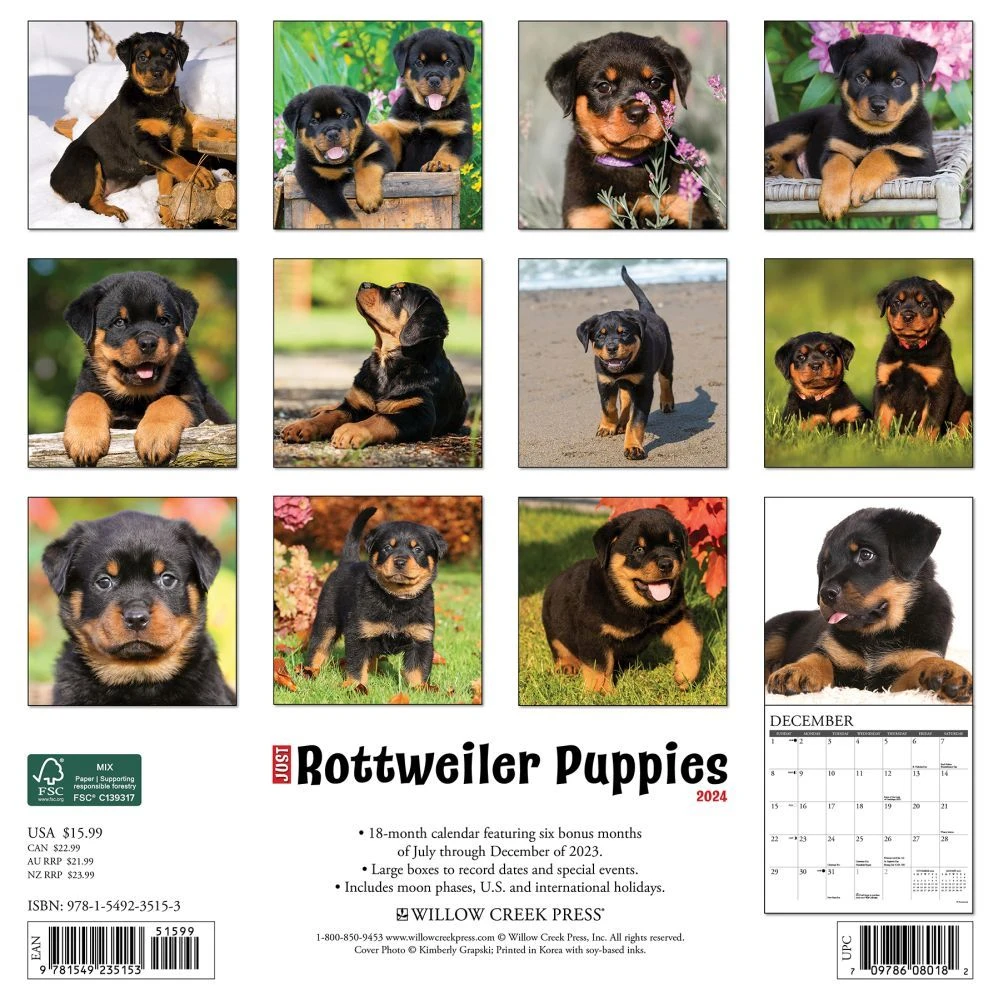 Just Rottweiler Puppies 2024 Wall Calendar 4 Just Rottweiler Puppies 2024 Wall Calendar - Image 2