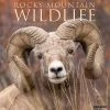 Rocky Mountain Wildlife 2024 Wall Calendar 2 Rocky Mountain Wildlife 2024 Wall Calendar -Calendars Sales Store 202400004049