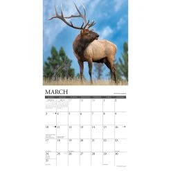Rocky Mountain Wildlife 2024 Wall Calendar -Calendars Sales Store 202400004049 ALT2