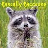 Rascally Raccoons 2024 Wall Calendar 1 Rascally Raccoons 2024 Wall Calendar -Calendars Sales Store 202400004052