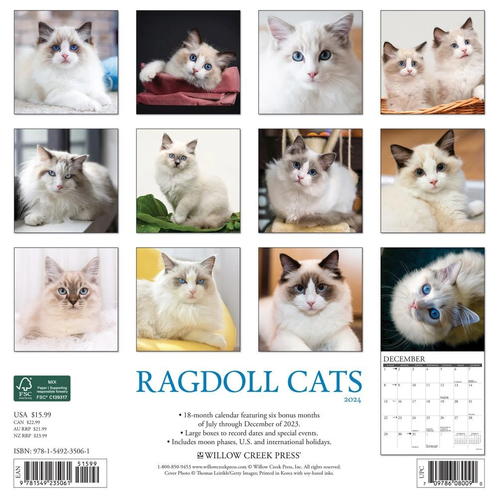Ragdoll Cats 2024 Wall Calendar 4 Ragdoll Cats 2024 Wall Calendar - Image 2