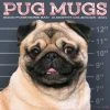 Pug Mugs 2024 Wall Calendar -Calendars Sales Store 202400004061